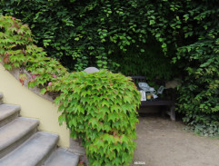 Jak se zbavit nevěsty