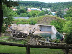 1. Osamělý mrtvý muž (1/2)