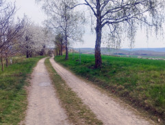 5. Denár v dívčí dlani (1/2)