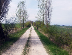 5. Denár v dívčí dlani (1/2)