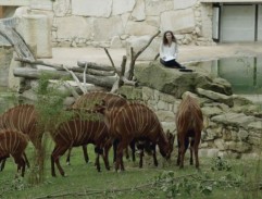 1. Osamělý mrtvý muž (1/2)