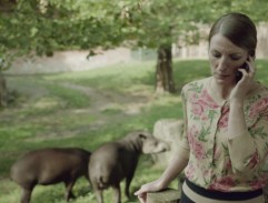 Vránová u tapírů