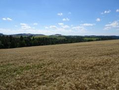 Tereza na procházce s Matějem