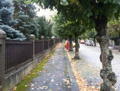 U domu Prokešových