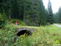 Nález utopené ženy