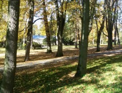 Mrtvá žena v parku