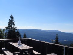 6. Hajný, který zmizel