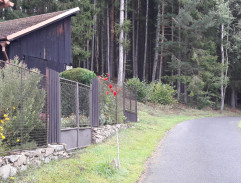 Před Janouškovým domem