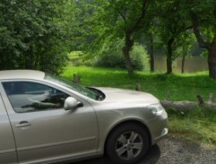 Auto u rybníka