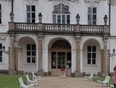 Škvorová na balkóně