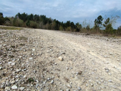 Klouda běží k autu