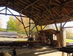 Skálová se štěnaty