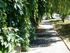 U domu Josefa Skoupy