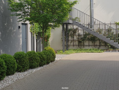 Prokop se jde ubytovat