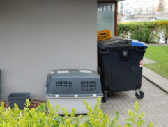 Čišník Tomáš Rousek