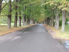 Alej u sociálního úřadu