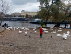 Mark-Antoine přijde do Prahy