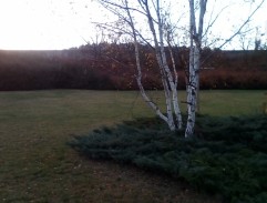 Barrandovské skály