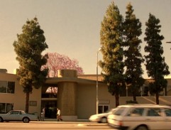 Kancelář Masry Vititoe