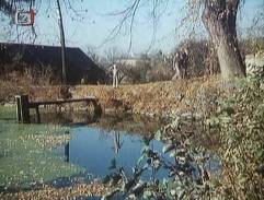 pri rybníku