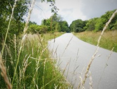 Doktor Girgal jede kočárem