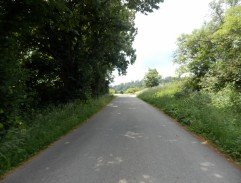 Doktor Girgal v kočáře