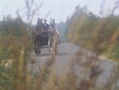 Doktor Girgal jede kočárem