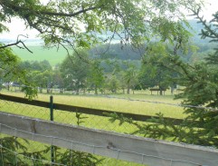 Švanda s Dorotkou u rybníka