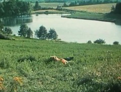 Švanda s Dorotkou u rybníka