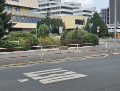 pred Interhotelom Vltava