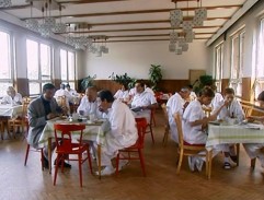 Nikdo neměl diabetes