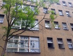 Dým bramborové natě