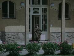 Dým bramborové natě