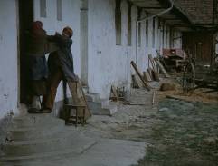 dvor na Zitovej statku