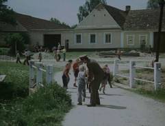 Dým bramborové natě