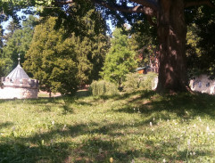 Johančino tajemství