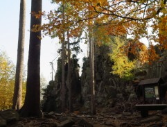 S dřevorubci v lese