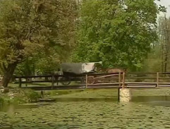 Kejklíři na mostě