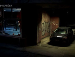 2. Primeraná obrana