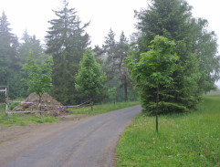 Cesta ke Klimszově vile