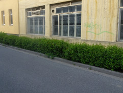 Jarý přichází k poštovnímu úřadu