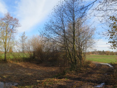 příjezdová cesta k vypuštěnému rybníku