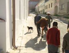 16. Vdavky za všechny prachy