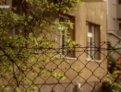 dom tatéra Popluhára