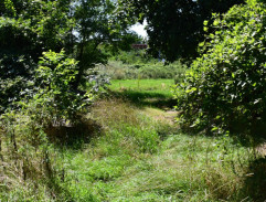 hľadanie úkrýtu 2