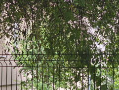 dom tatéra Popluhára