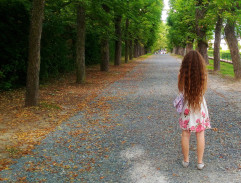 Kočár projíždí alejí