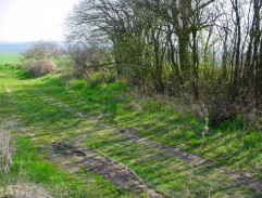 Badatel a průvodkyně