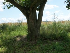 Jára Cimrman ležící, spící