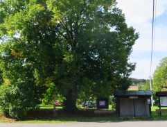 Autobusová zastávka